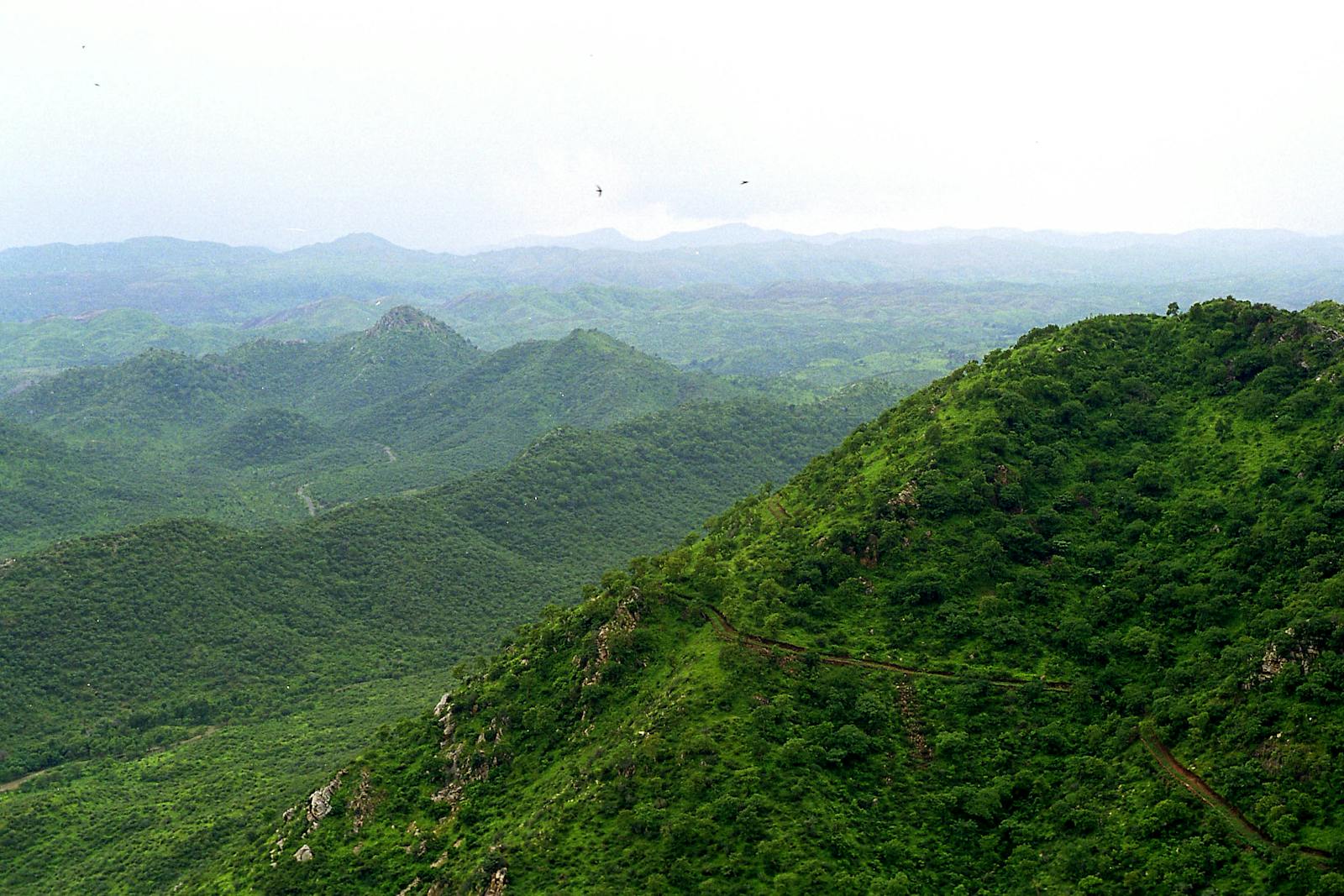 khathiar-gir-dry-deciduous-forests-one-earth